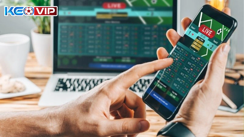 Sai lầm khi không kiểm tra lịch sử cược